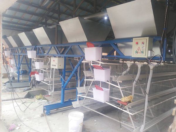 全自動喂料機
